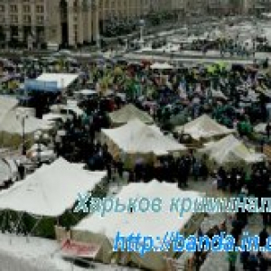 Расправа над участниками налогового майдана Расправа над участниками налогового майдана